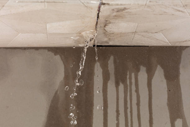 Professional Burst Pipe Cleanup technician working in Elberta, UT